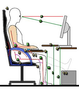 ergo table 1